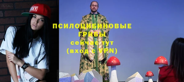 молекула духа Дмитровск
