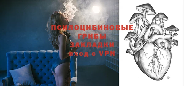 ALPHA-PVP Дмитриев