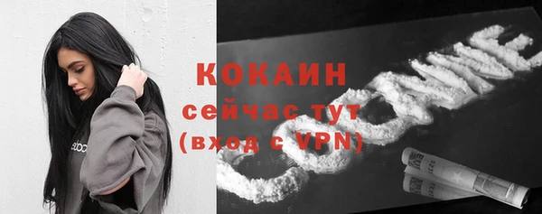молекула духа Дмитровск