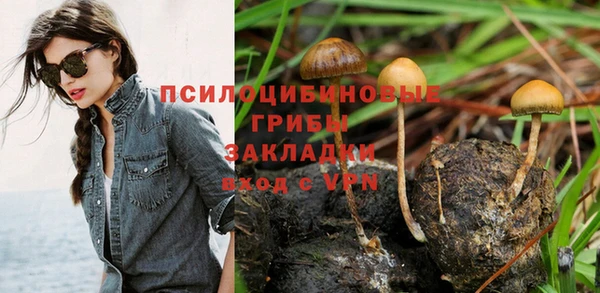 mix Дмитров