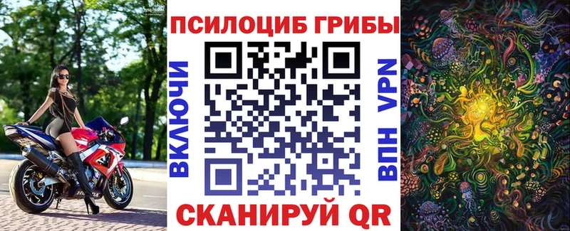 Галлюциногенные грибы GOLDEN TEACHER  Купить закладки  Знаменск 